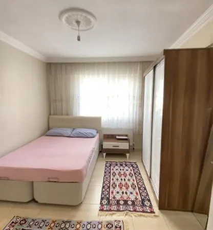 Daire Ada Geyikli